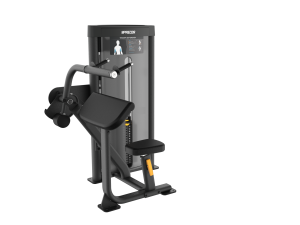 PRECOR Vitality - Tricep Extension